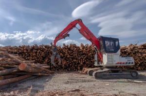 Small logs decked at Heritage Sustainable Resources, a new commercial-firewood business in North Powder, Ore. The owners have roots in the region and were attracted by ample biomass supply and good transportation networks.